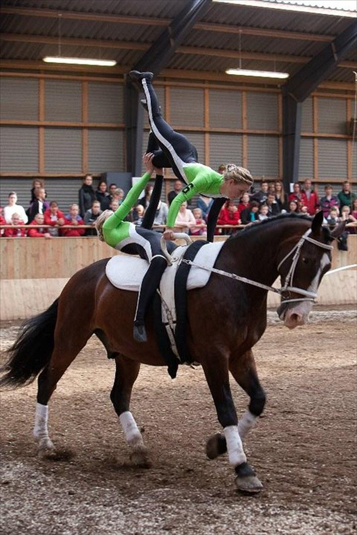 Voltigering <3 - Cille og mig, 

hold kür i hvidovre billede 40