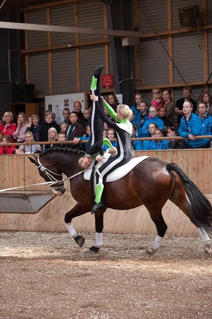 Voltigering <3 - Mig og cille
hold kür i hvidovre :D billede 41