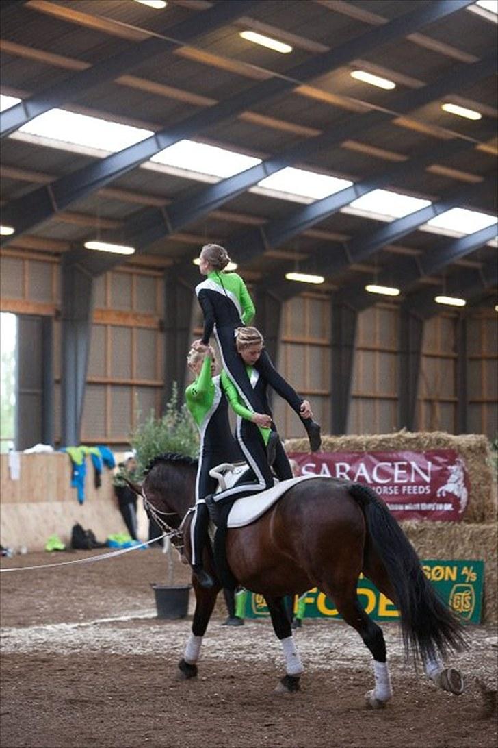 Voltigering <3 - Amalie mig og cecilie i toppen

hold kür i hvidovre :D billede 42