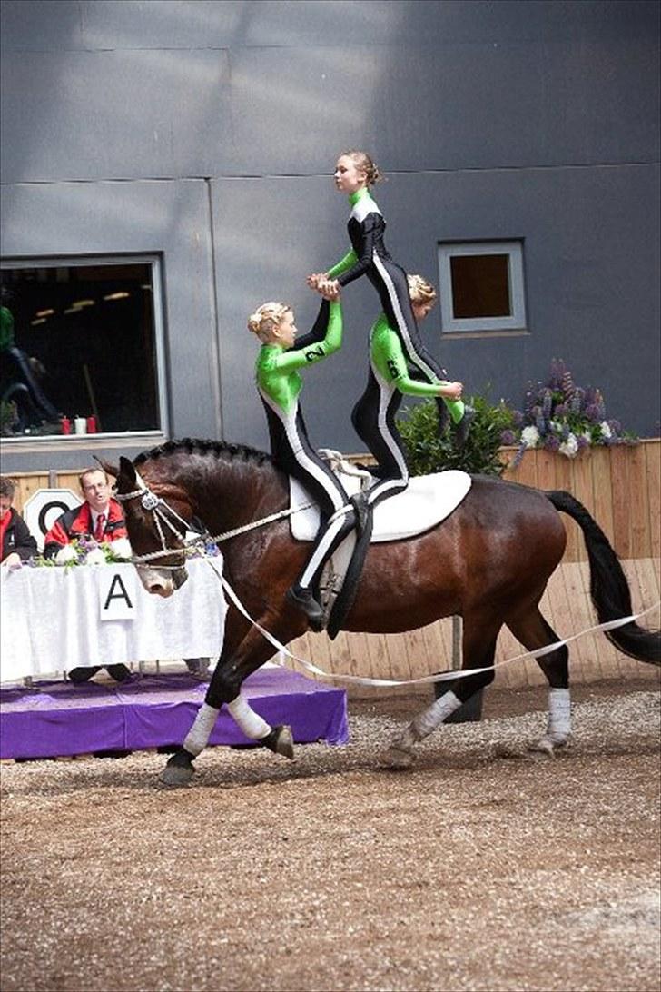 Voltigering <3 - Amalie, mig og cecilie i toppen,

hold kür i hvidovre <3 billede 44