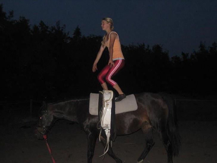 Voltigering <3 - Mig voltigering på cindy<3

stand i håndtag :D billede 45