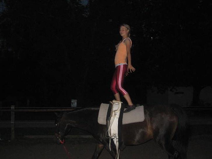 Voltigering <3 - Mig, voltigering på cindy<3

stand i håndtag :D billede 46