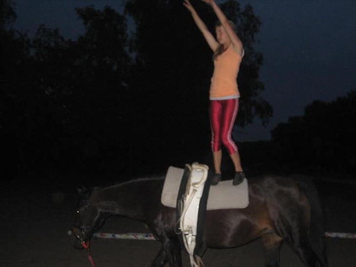 Voltigering <3 - Mig, voltigering på cindy<3

sidelæns stand :D billede 48