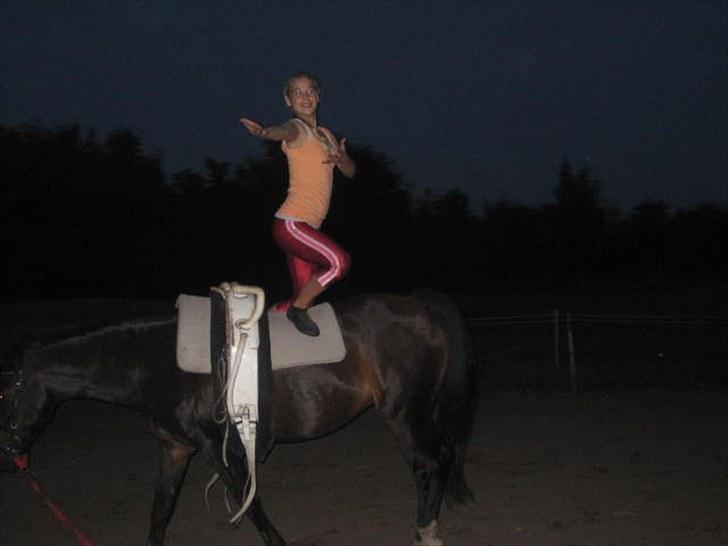 Voltigering <3 - Mig, voltigering på cindy<3

baglæns prinsesæde :D billede 49