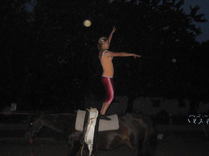 Voltigering <3 - Mig, voltigering på cindy<3

baglæns stand :D billede 50