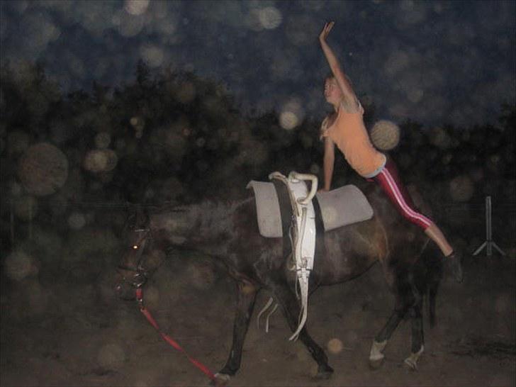 Voltigering <3 - Mig, voltigering på cindy<3

banan med en hånd :D billede 53