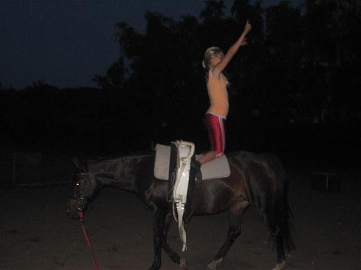 Voltigering <3 - Mig, voltigering på cindy<3

baglæns knæ stand :D billede 54