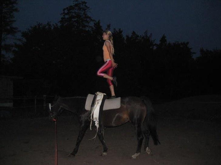 Voltigering <3 - Mig, voltigering på cindy<3


et bens stand :D

og ja cindy skridter, men jeg kan det også i galop :D billede 55