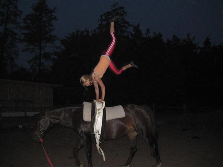 Voltigering <3 - Mig, voltigering på cindy<3

håndstand :D billede 56