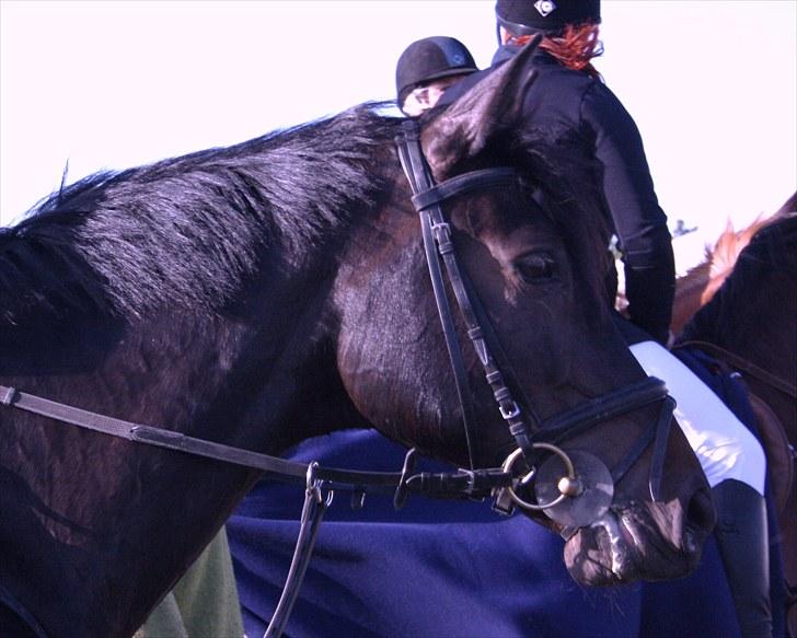 Vores seje træner Søren Frederiksen :) billede 8