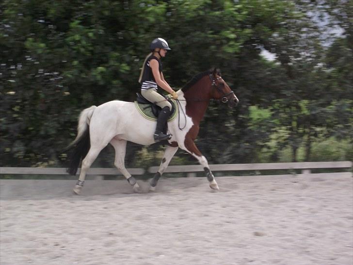 Til Christina & Lucky star <3 billede 19