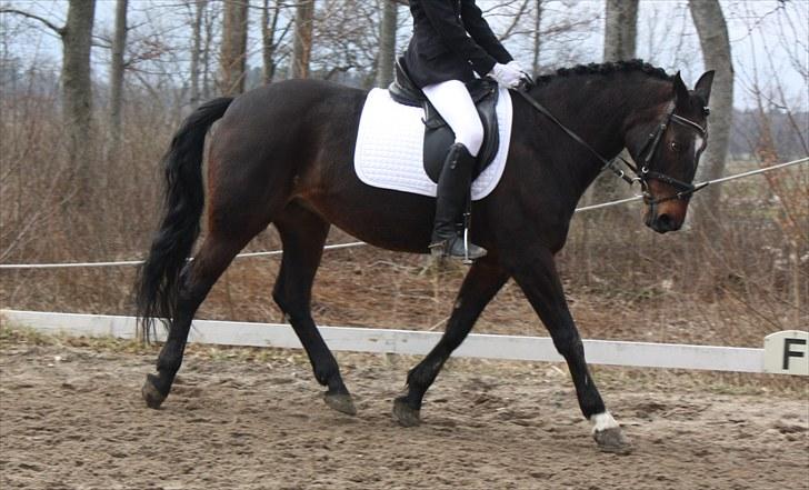 Dronninglund stævne (DRLR) 1 april billede 3