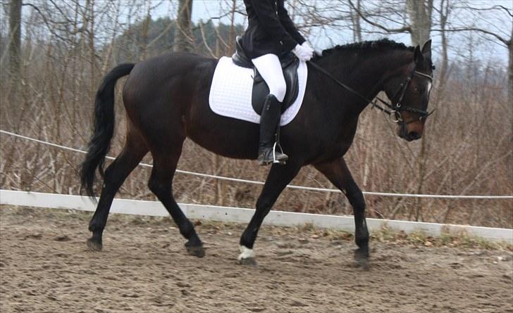 Dronninglund stævne (DRLR) 1 april billede 4