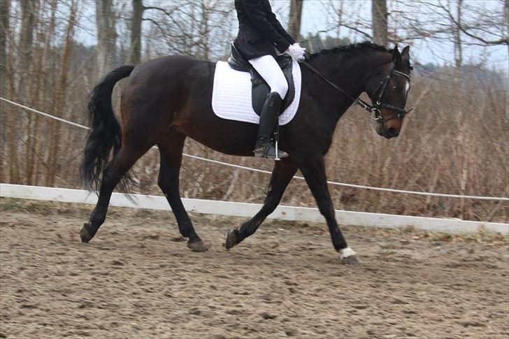 Dronninglund stævne (DRLR) 1 april billede 5