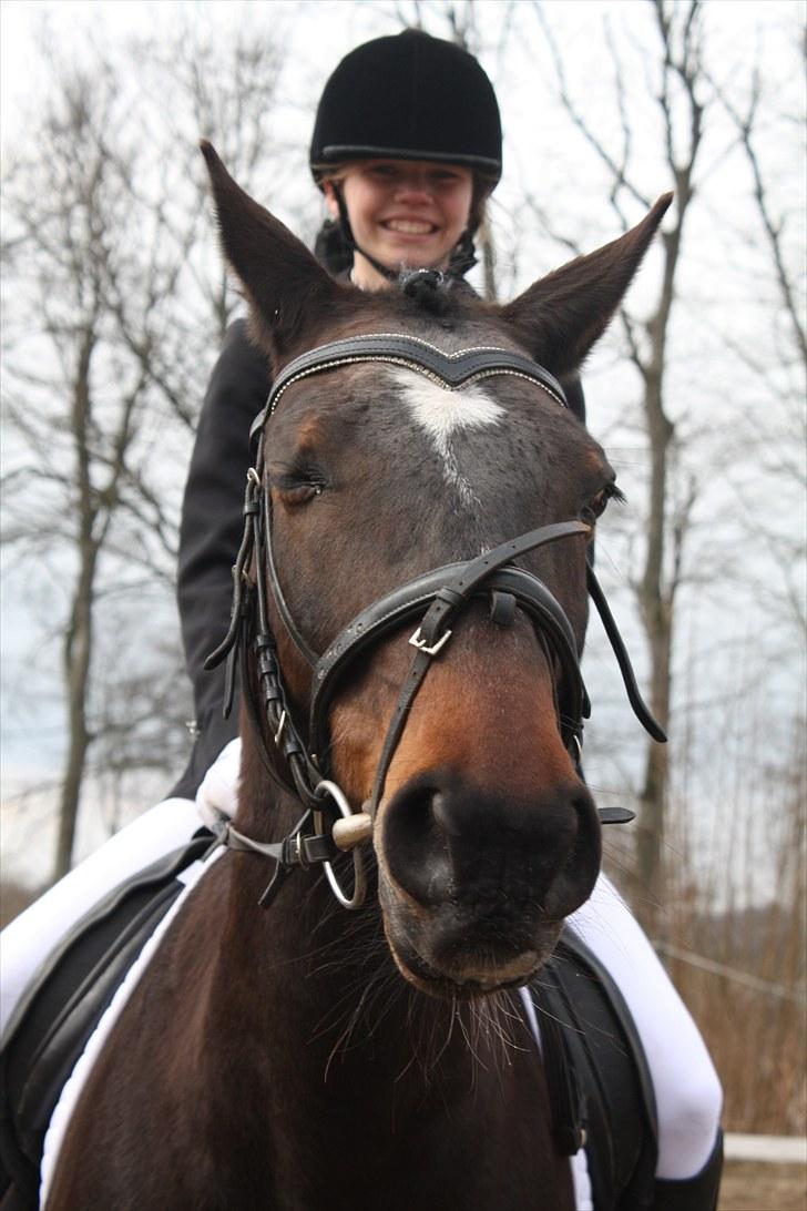 Dronninglund stævne (DRLR) 1 april billede 7