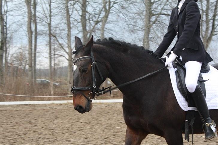 Dronninglund stævne (DRLR) 1 april billede 8