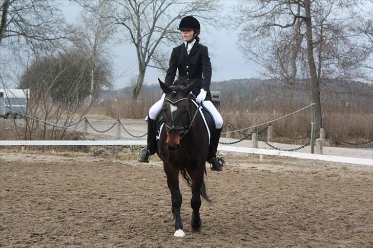 Dronninglund stævne (DRLR) 1 april billede 9