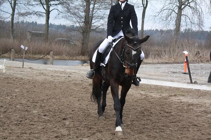 Dronninglund stævne (DRLR) 1 april billede 10