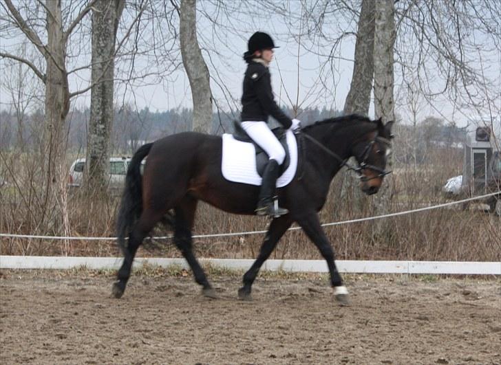 Dronninglund stævne (DRLR) 1 april billede 11