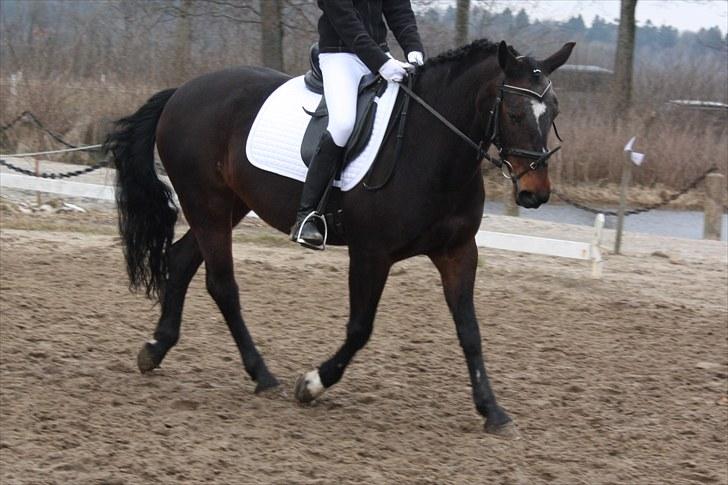 Dronninglund stævne (DRLR) 1 april billede 12