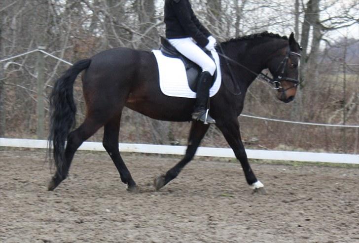 Dronninglund stævne (DRLR) 1 april billede 14