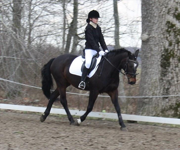 Dronninglund stævne (DRLR) 1 april billede 1