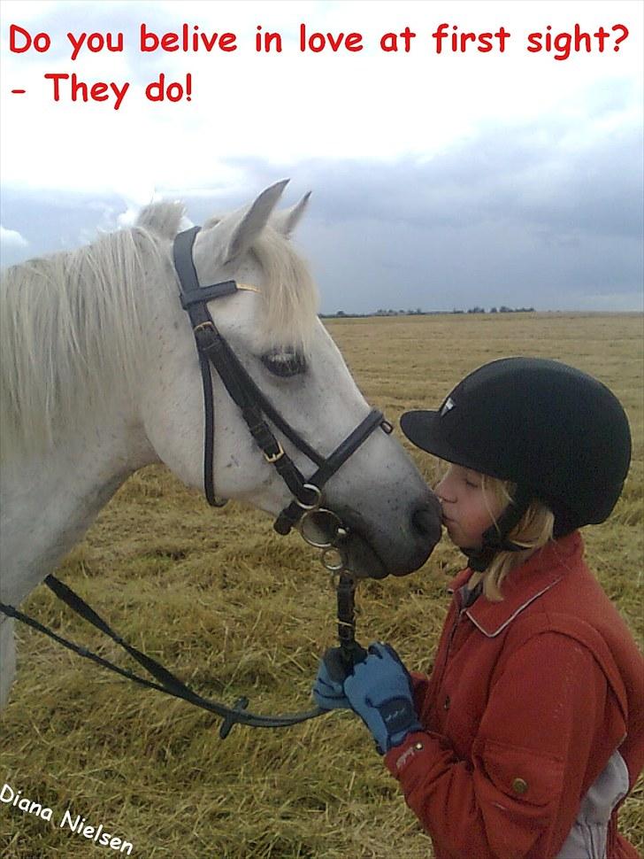 Søde citater og søde billeder (; - Teresa og Choice billede 8
