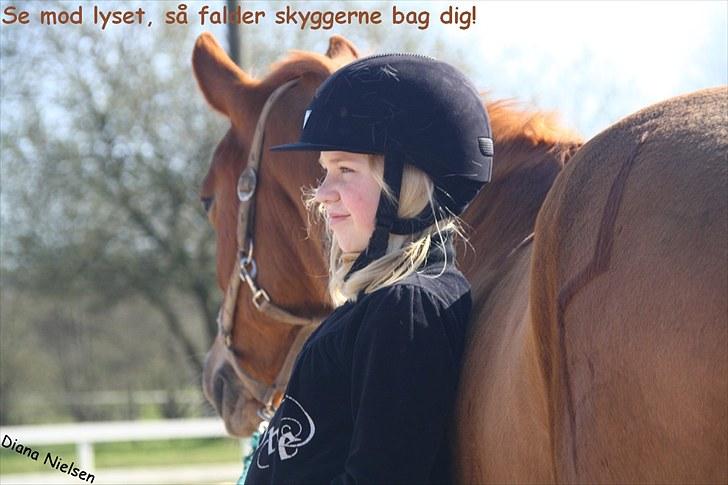 Søde citater og søde billeder (; - Ikke taget af mig, men en jeg kender! Min venindes pony, Valentins Sirocco <3 R.I.P. billede 12