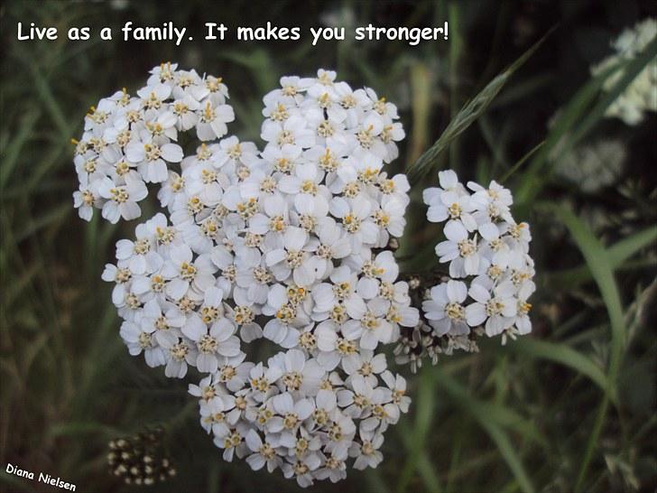 Søde citater og søde billeder (; - Taget på ridelejr'en 2010 <3 billede 14