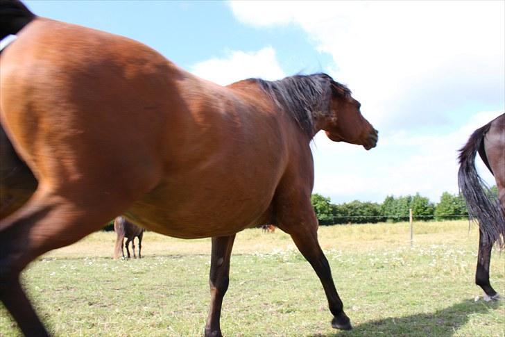 Sommerferie billeder - FLYT DIG ! !  Det er MIG der snakker med hende xD billede 31
