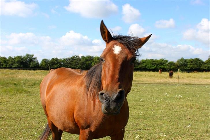 Sommerferie billeder - Naah, ikke noget alligevel xD billede 49