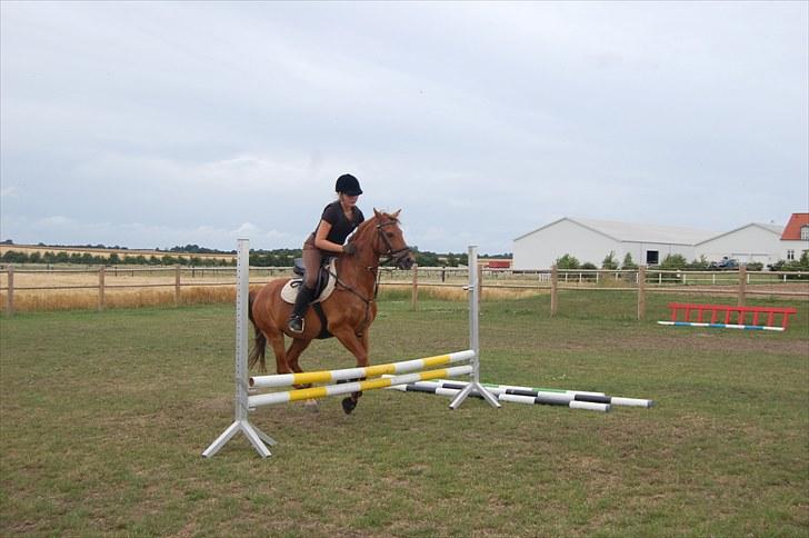 Ida og Cognac - Tina og Jasper til spring undervisning  - Hovsa Cognac du glemmer at løfte benene:) billede 2