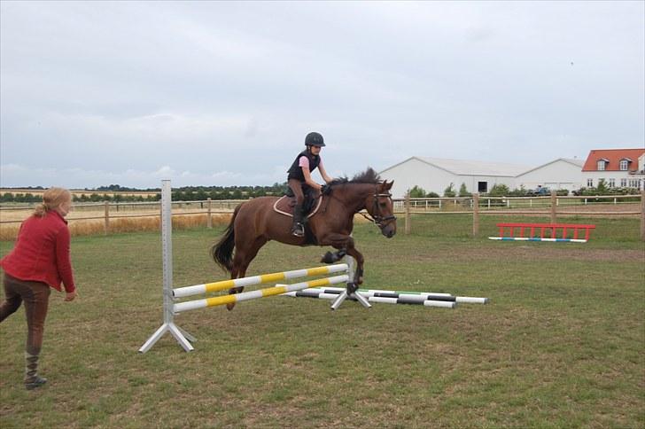 Ida og Cognac - Tina og Jasper til spring undervisning  billede 3