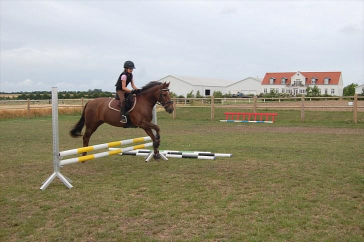 Ida og Cognac - Tina og Jasper til spring undervisning  billede 4