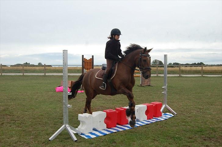 Ida og Cognac - Tina og Jasper til spring undervisning  billede 6