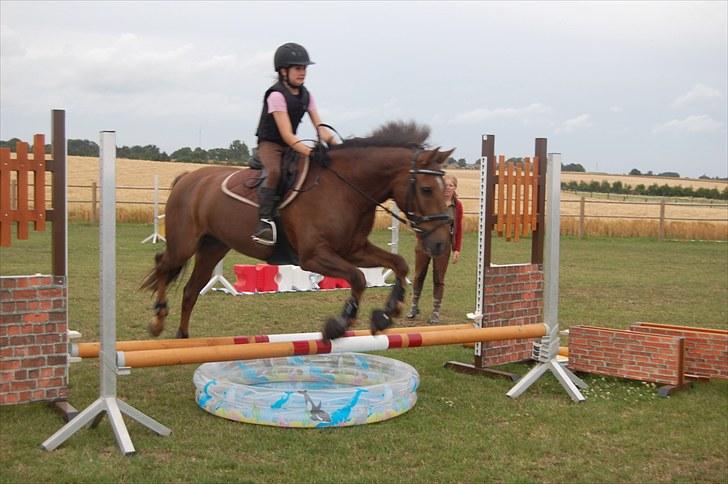 Ida og Cognac - Tina og Jasper til spring undervisning  billede 7