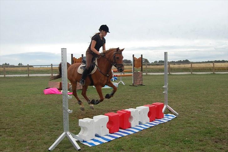 Ida og Cognac - Tina og Jasper til spring undervisning  billede 8