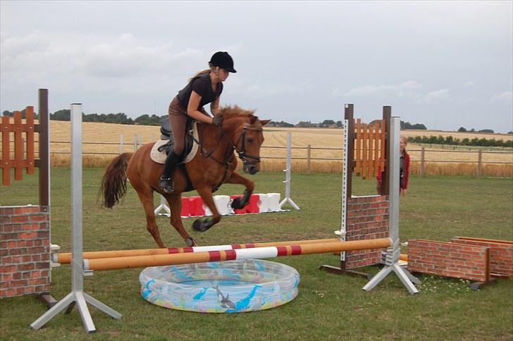 Ida og Cognac - Tina og Jasper til spring undervisning  billede 9