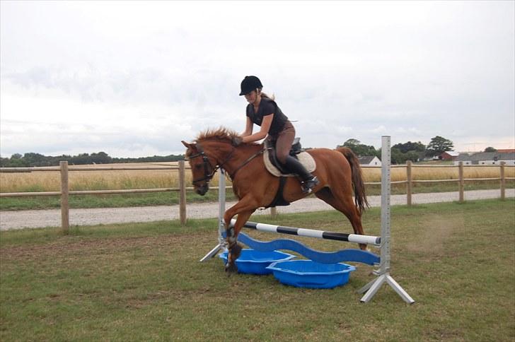 Ida og Cognac - Tina og Jasper til spring undervisning  billede 10