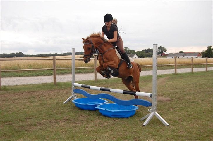 Ida og Cognac - Tina og Jasper til spring undervisning  billede 11