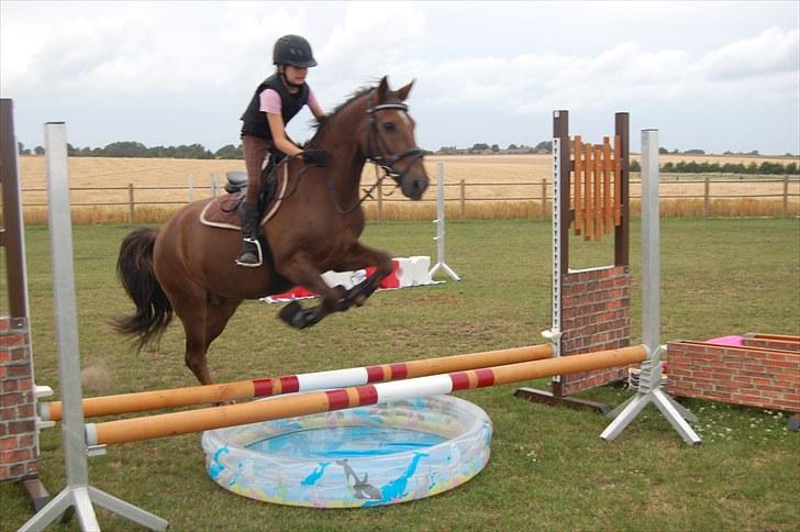 Ida og Cognac - Tina og Jasper til spring undervisning  billede 12