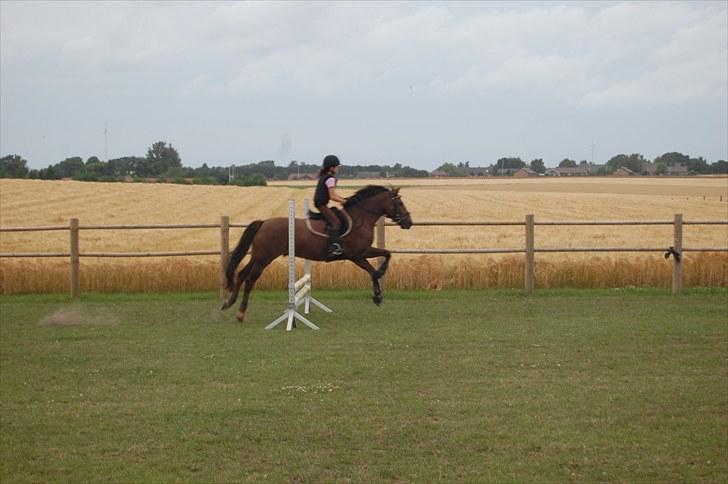 Ida og Cognac - Tina og Jasper til spring undervisning  billede 13
