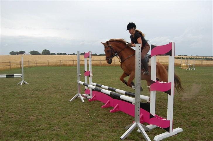 Ida og Cognac - Tina og Jasper til spring undervisning  billede 15