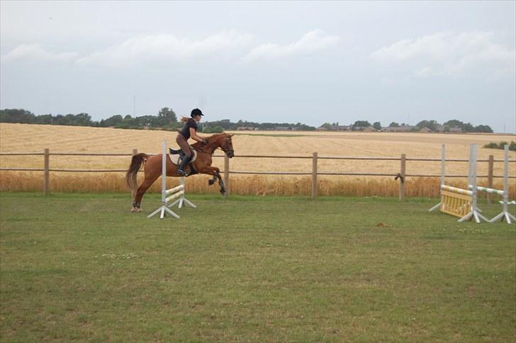 Ida og Cognac - Tina og Jasper til spring undervisning  billede 16