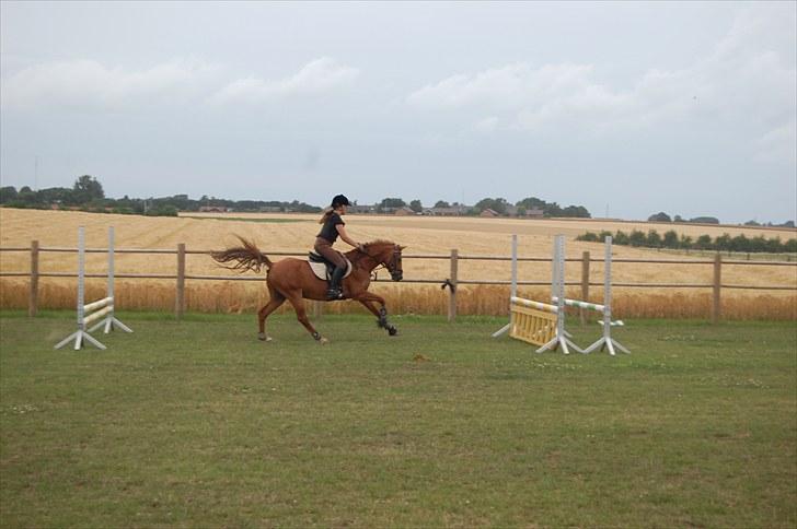 Ida og Cognac - Tina og Jasper til spring undervisning  billede 17