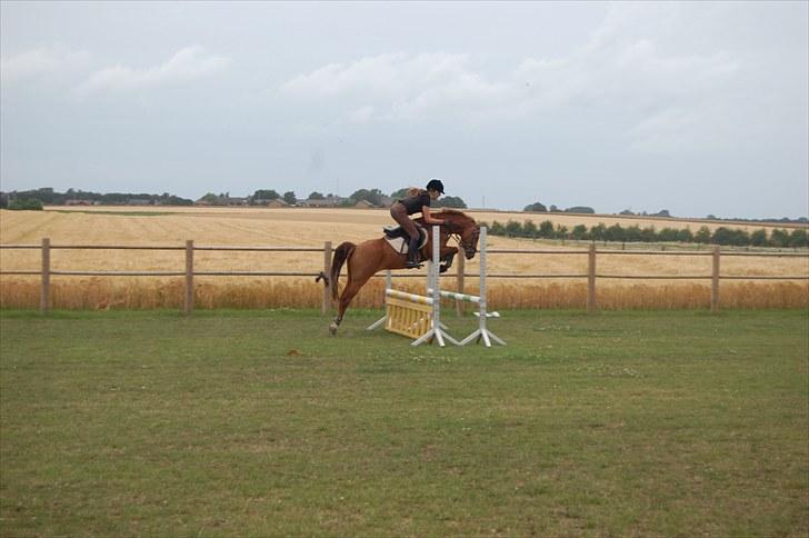 Ida og Cognac - Tina og Jasper til spring undervisning  billede 18