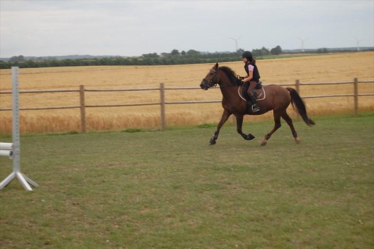 Ida og Cognac - Tina og Jasper til spring undervisning  billede 19