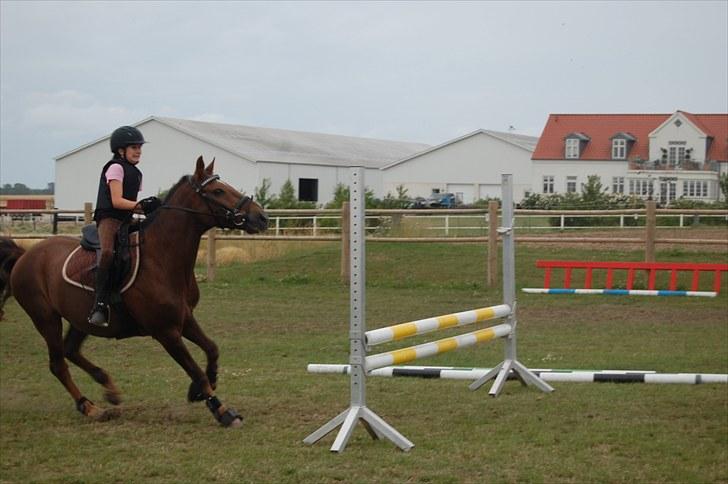 Ida og Cognac - Tina og Jasper til spring undervisning  - Hovsa Tina du skal huske at ride lige på springet !!:) billede 21