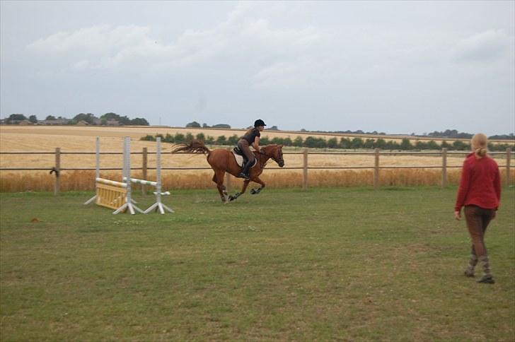 Ida og Cognac - Tina og Jasper til spring undervisning  billede 23