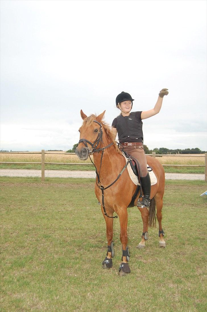 Ida og Cognac - Tina og Jasper til spring undervisning  - Øver bane:) billede 24